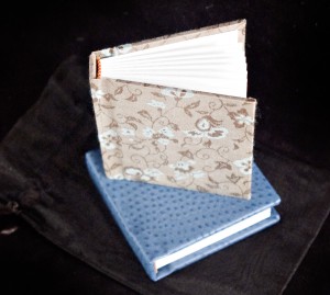 mini_book101108_0406_copy