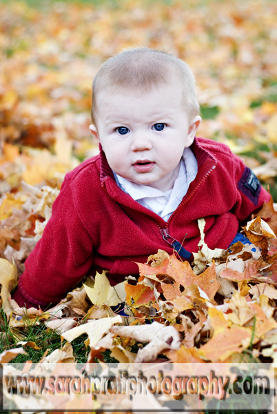 101708_0149blog