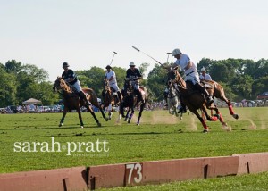 polo_0158-copyblog