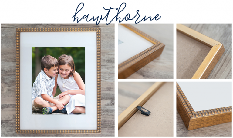 Sarah Pratt Photography now offers Hawthorne signature frame perfect for family portraits.